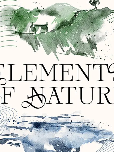 Elements Of Nature Collection Graphics - Image 10