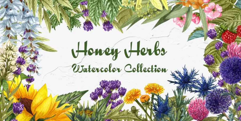 Honey Herbs Watercolor Set Graphics - Image 1