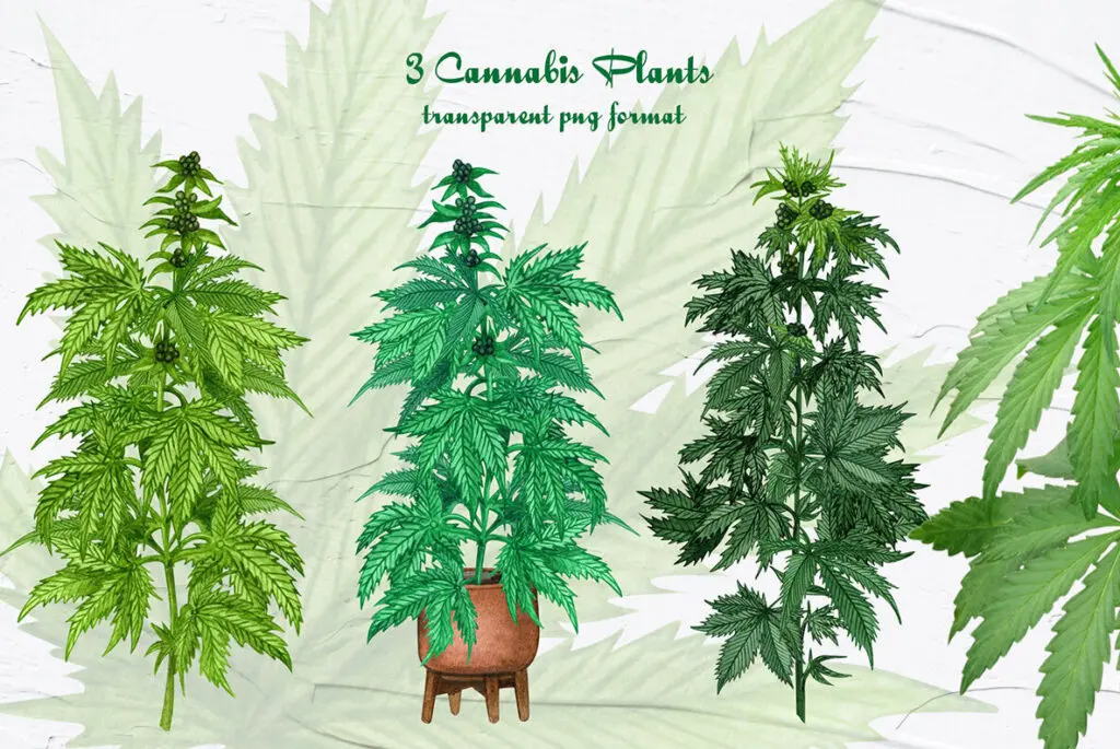 E8302_03.jpg E8302_03.jpg