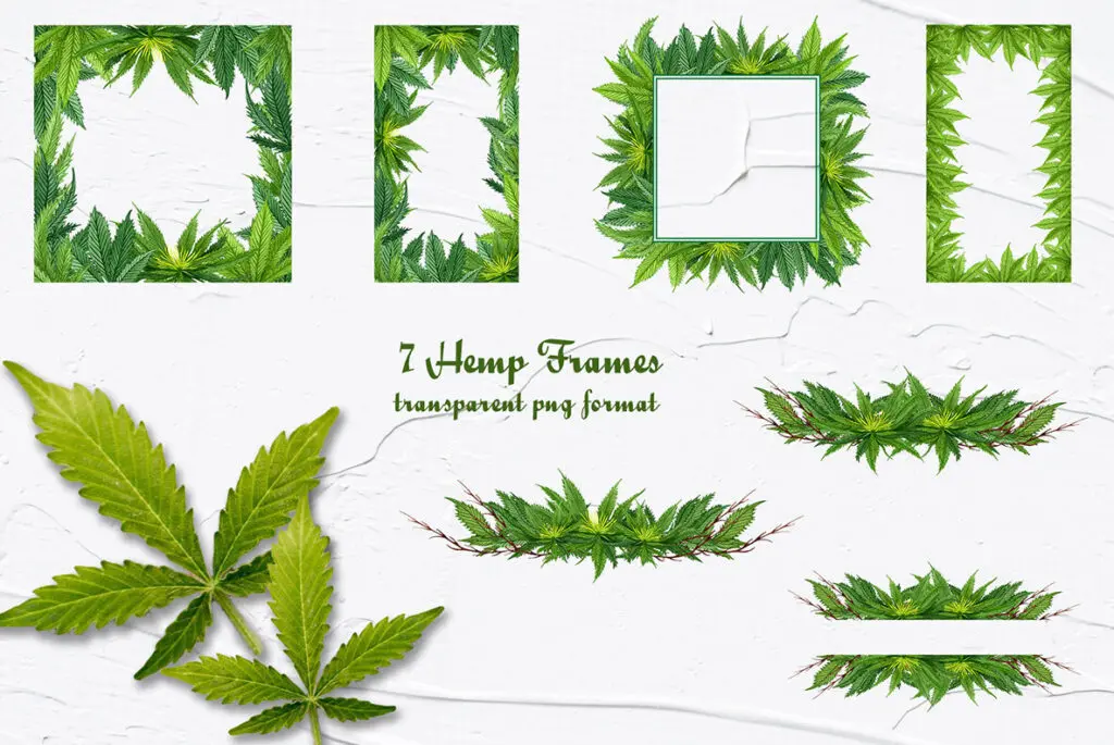 E8302_05.jpg E8302_05.jpg