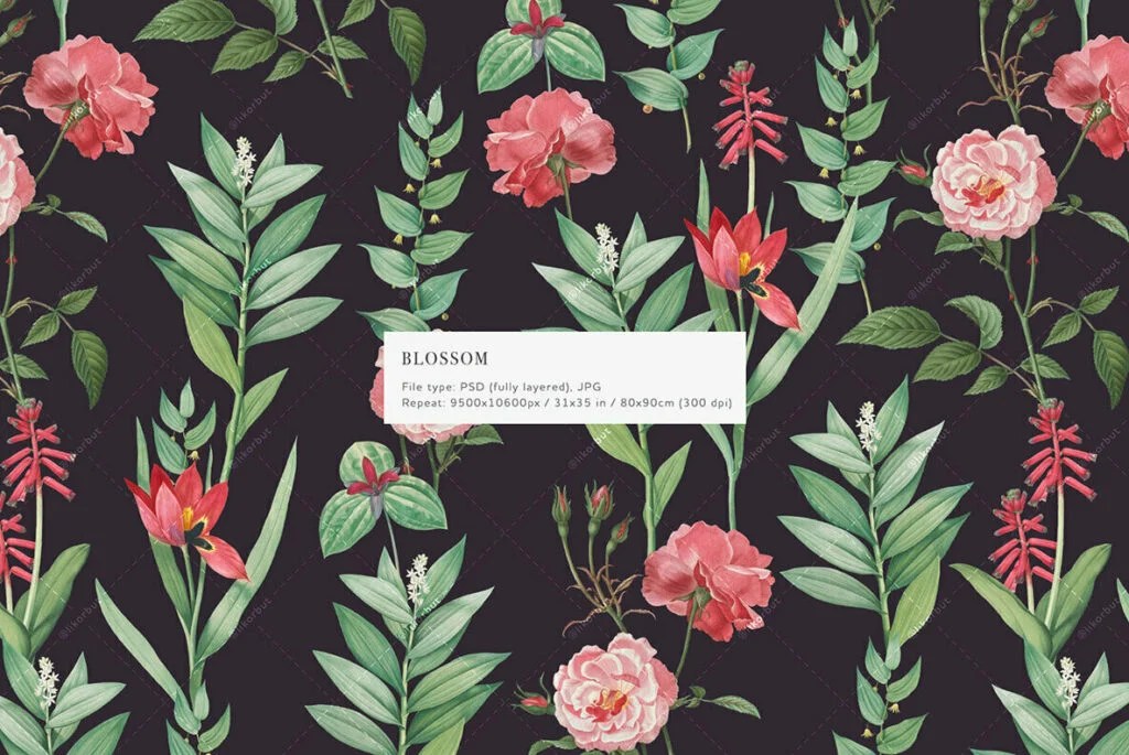 E7755_01.jpg E7755_01.jpg