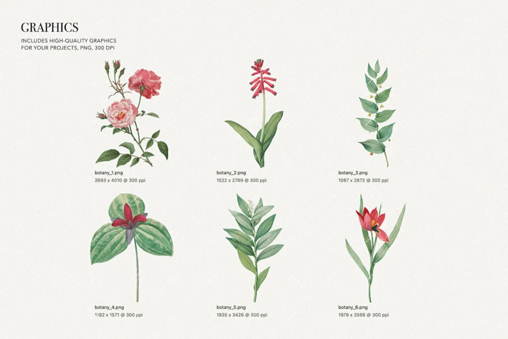 E7755_03.jpg E7755_03.jpg