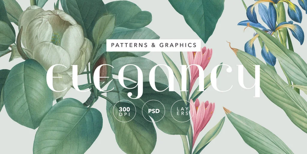 Elegancy – Floral Pattern and Elements Graphics - Image 1