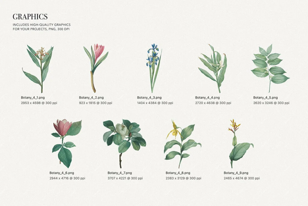 E7756_03.jpg E7756_03.jpg