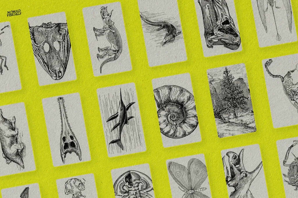 E7780_01.jpg E7780_01.jpg