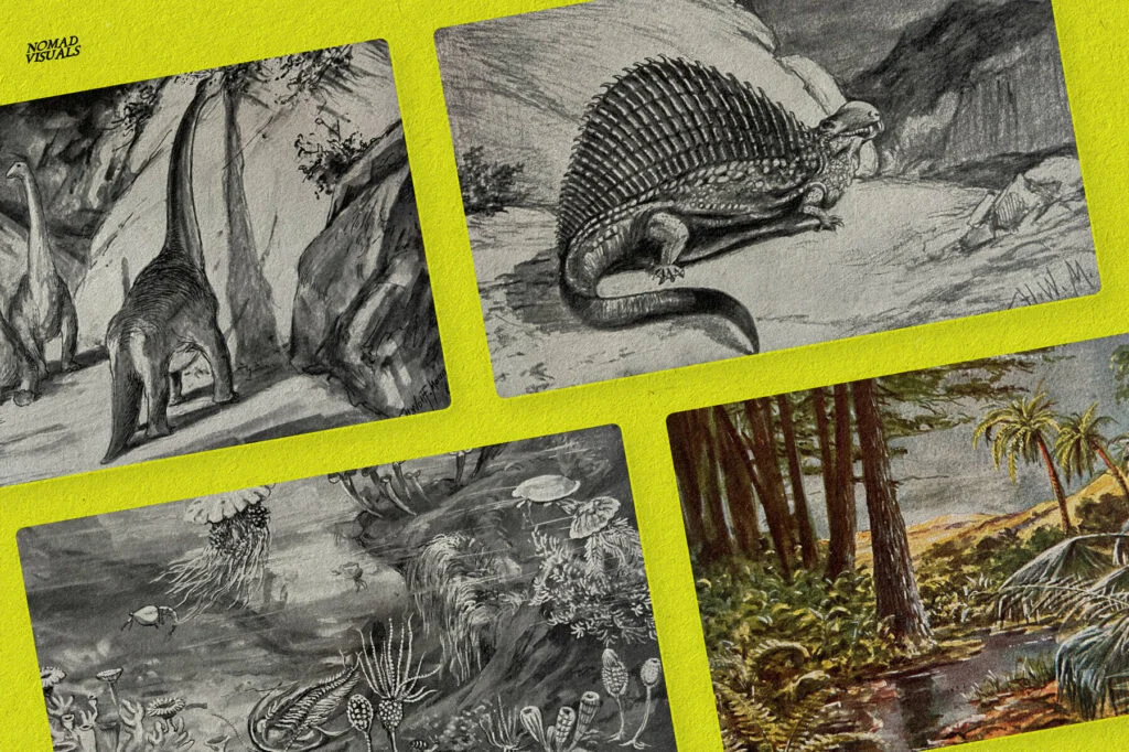 E7780_03.jpg E7780_03.jpg