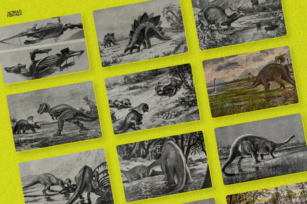 E7780_04.jpg E7780_04.jpg