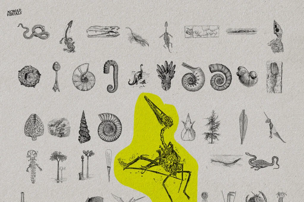 E7780_05.jpg E7780_05.jpg