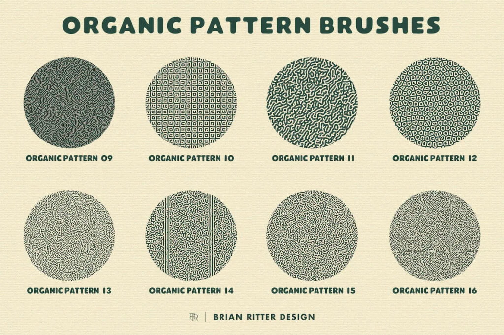 E7787_05.jpg E7787_05.jpg