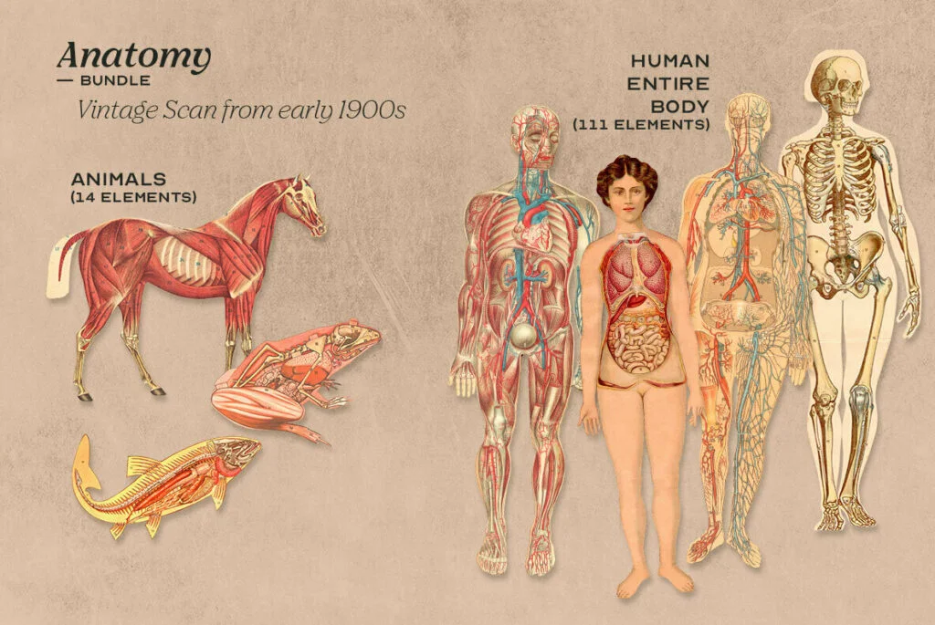 E7825_01.jpg E7825_01.jpg