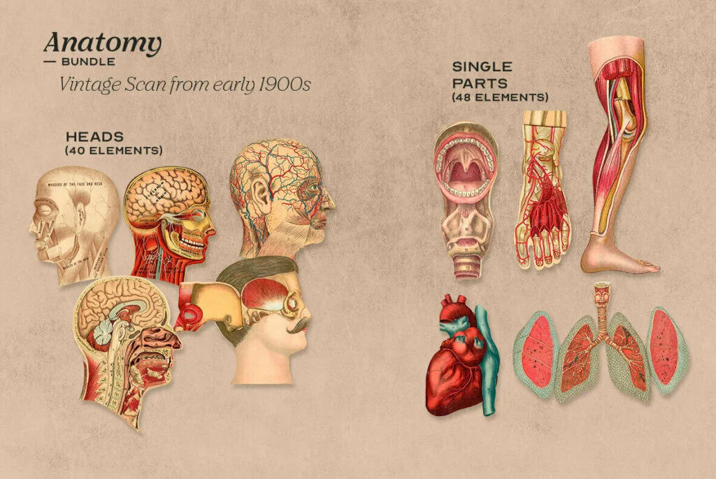 E7825_02.jpg E7825_02.jpg