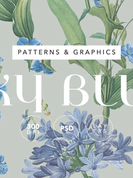 Sky Blue Botanic Floral Pattern and Elements Graphics - Image 3