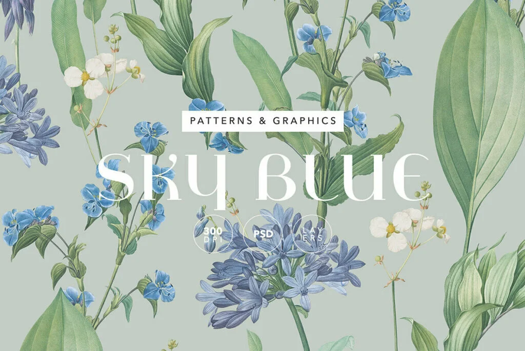 E7844_00.jpg E7844_00.jpg