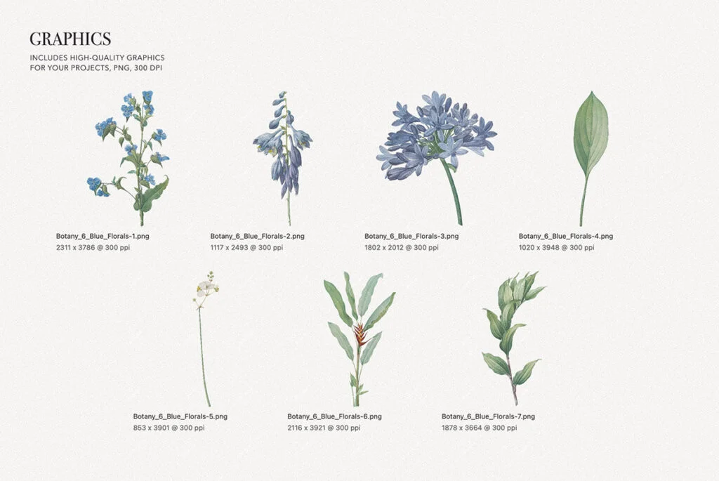 E7844_05.jpg E7844_05.jpg