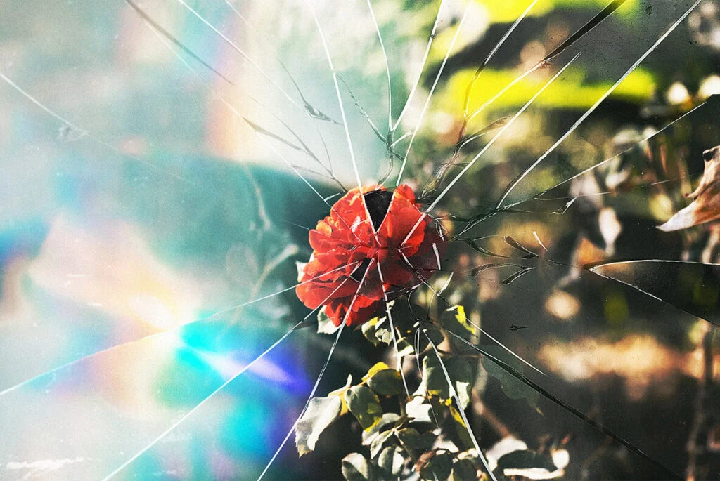 E7862_05.jpg E7862_05.jpg