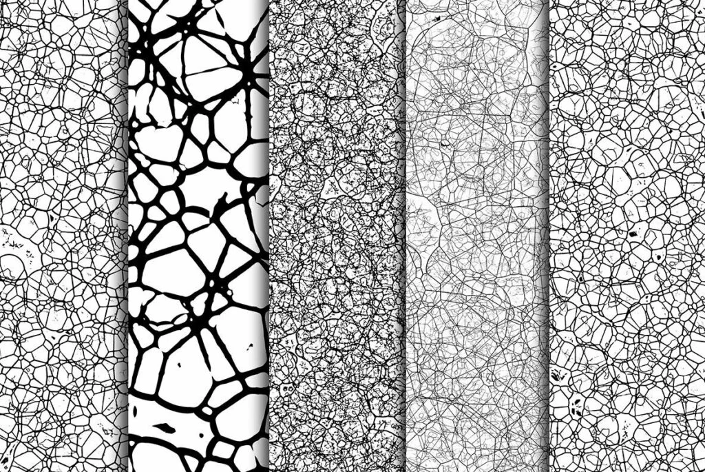 E7889_02.jpg E7889_02.jpg