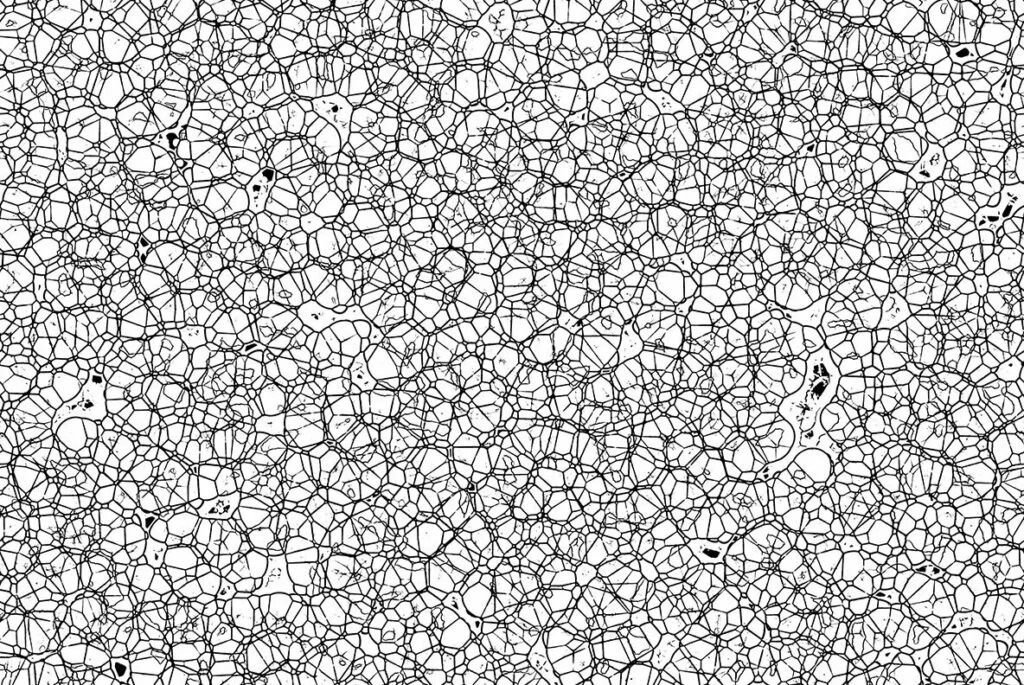 E7889_03.jpg E7889_03.jpg