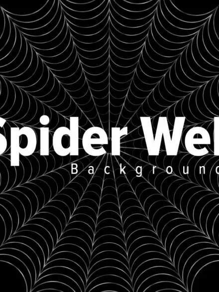 Spider Web Backgrounds Graphics - Image 12