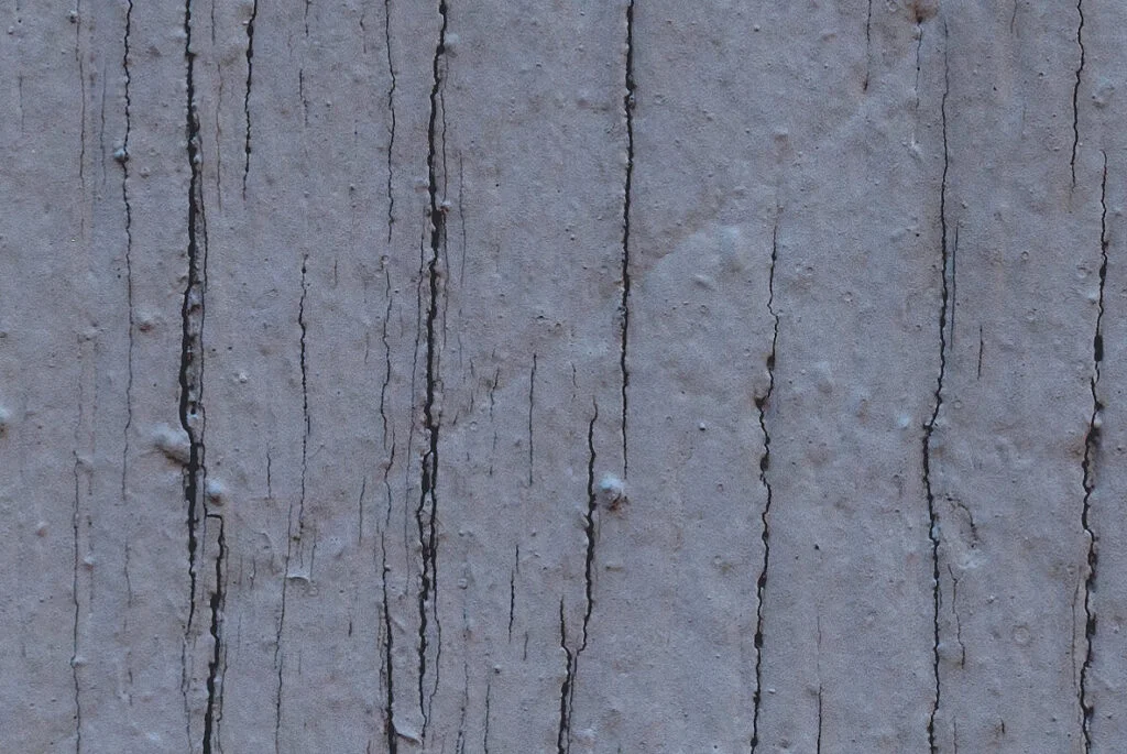 E7927_02.jpg E7927_02.jpg