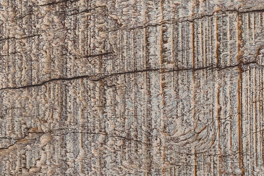 E7927_04.jpg E7927_04.jpg