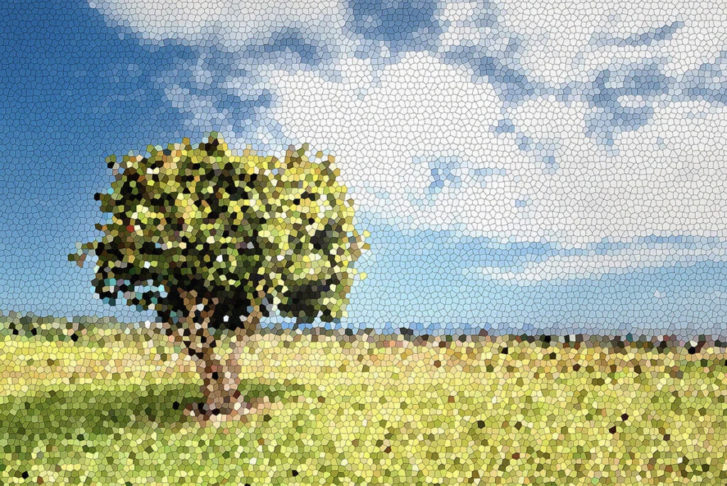 E7959_01.jpg E7959_01.jpg