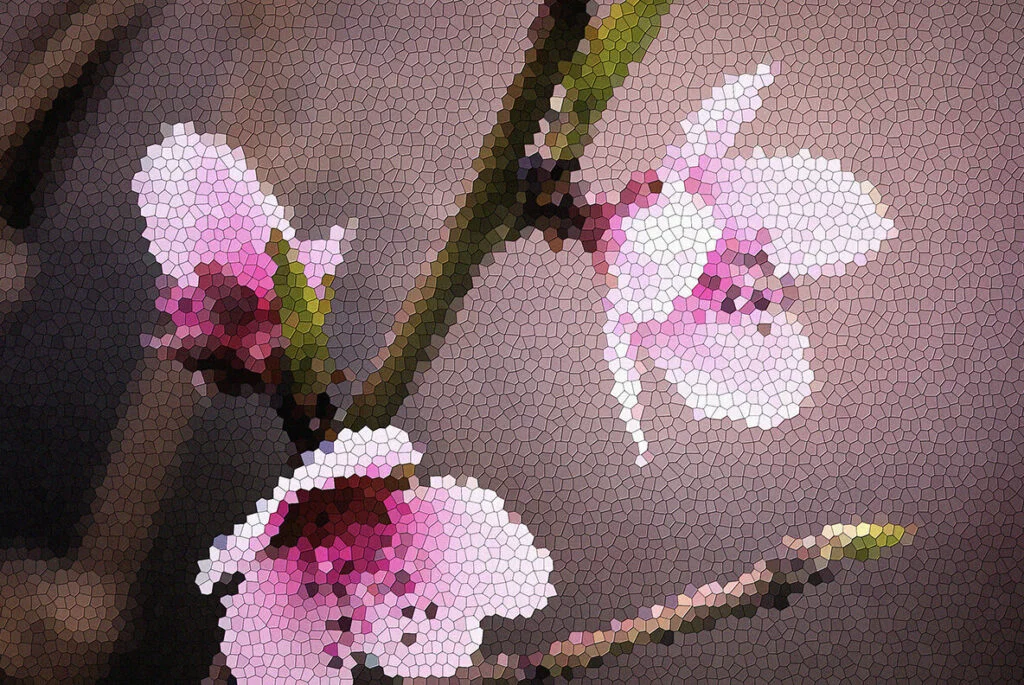 E7959_02.jpg E7959_02.jpg