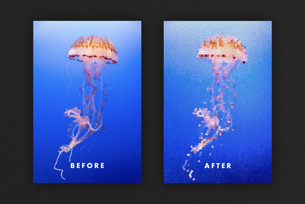 E7959_03.jpg E7959_03.jpg