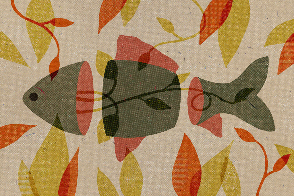 E8027_04.jpg E8027_04.jpg