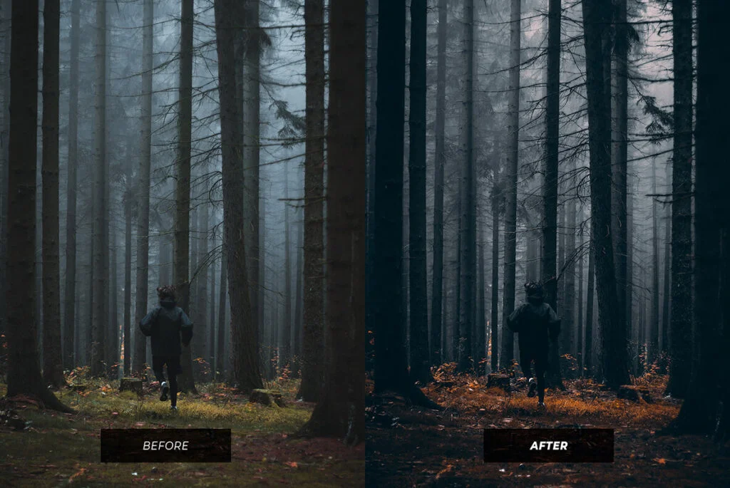 E8044_04.jpg E8044_04.jpg