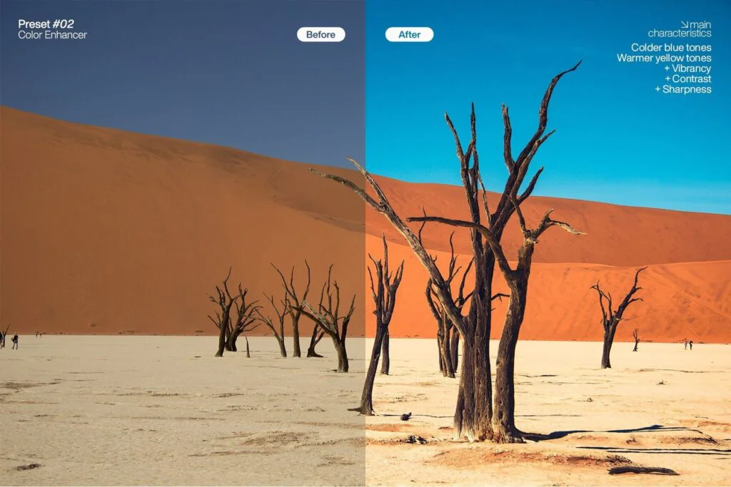 E8081_02.jpg E8081_02.jpg