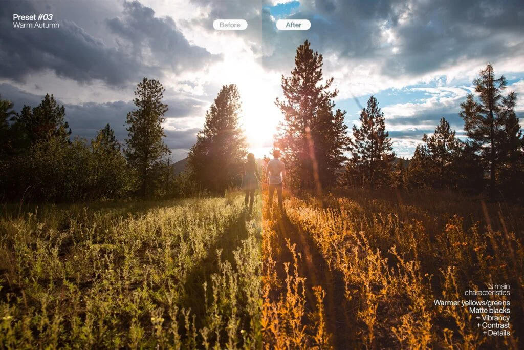 E8081_03.jpg E8081_03.jpg