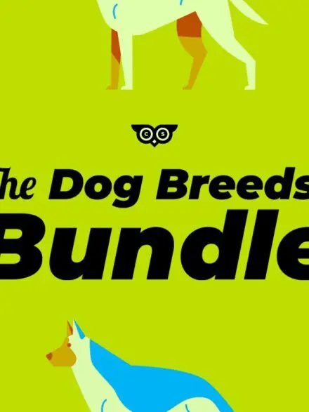 The Dog Breeds Bundle Graphics - Image 1