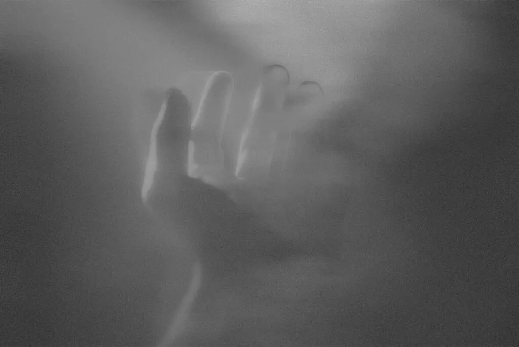 E8136_02.jpg E8136_02.jpg