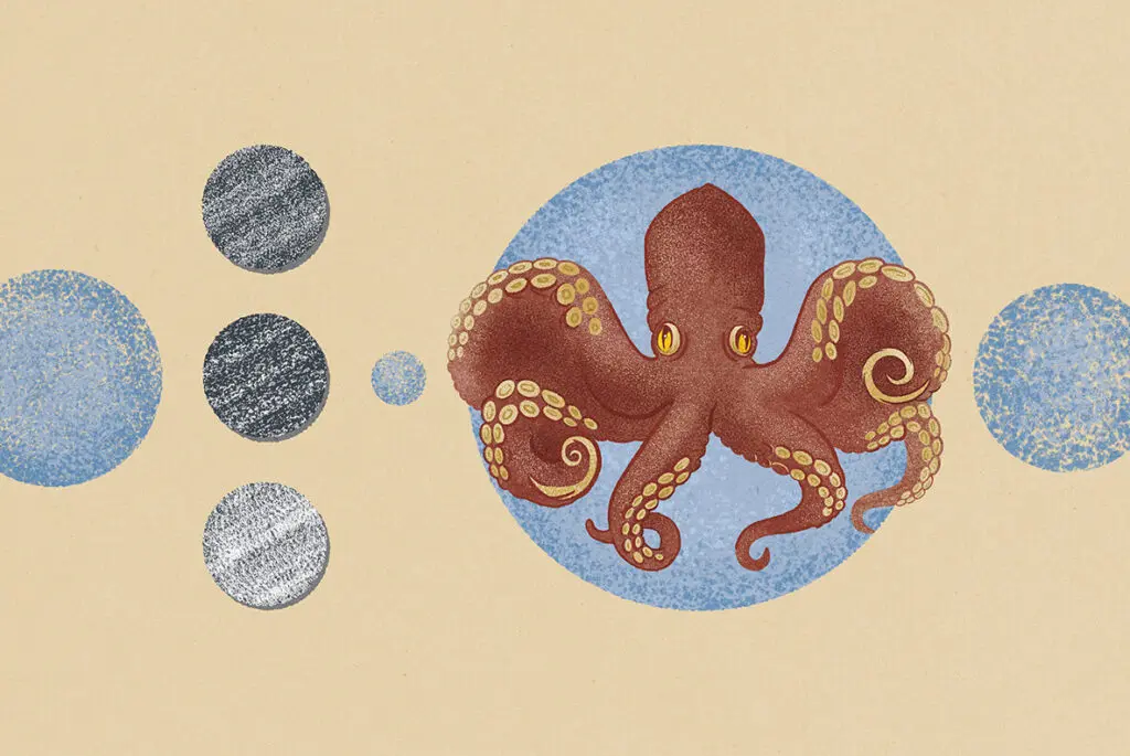 E8444_01.jpg E8444_01.jpg