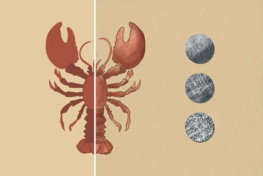 E8444_05.jpg E8444_05.jpg