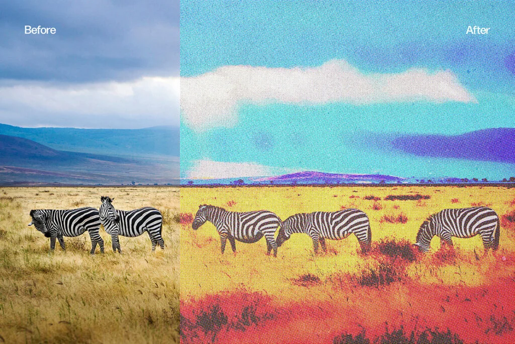 E8552_03.jpg E8552_03.jpg