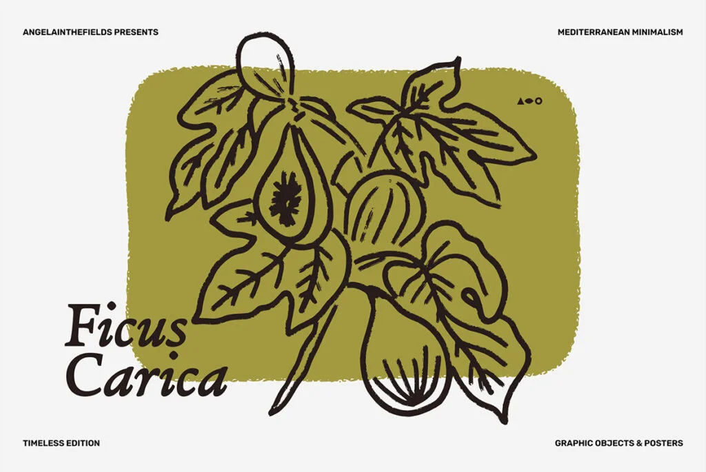 E8563_05.jpg E8563_05.jpg