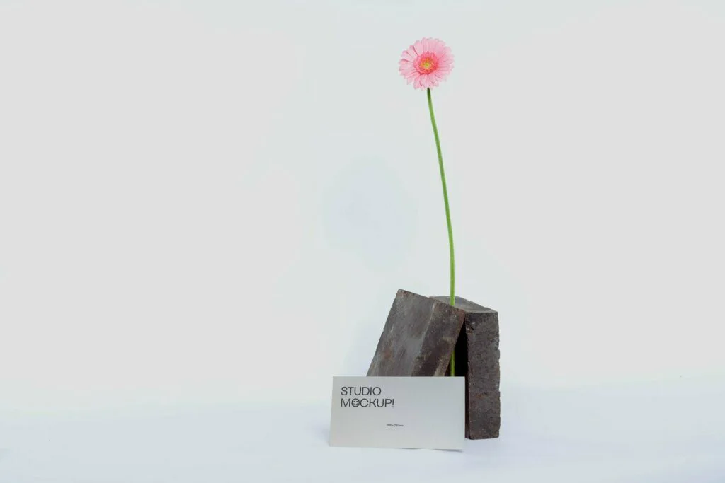 E7511_02.jpg E7511_02.jpg