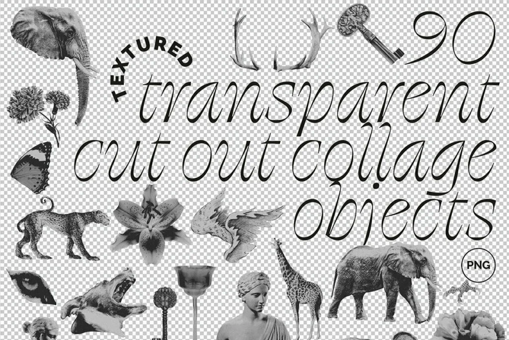 E7673_02.jpg E7673_02.jpg