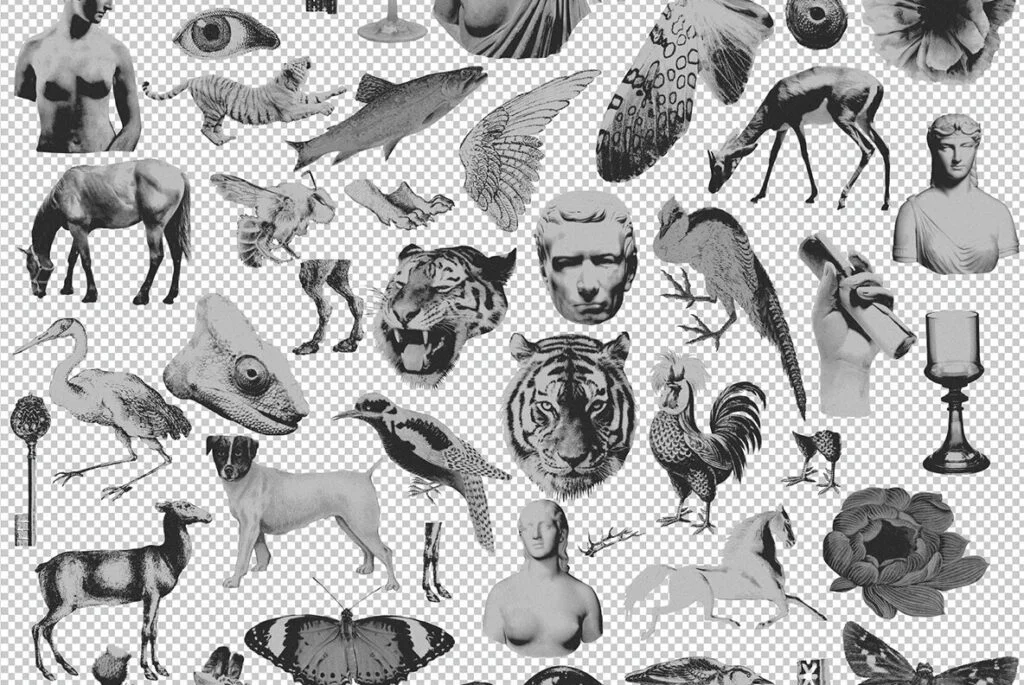 E7673_04.jpg E7673_04.jpg