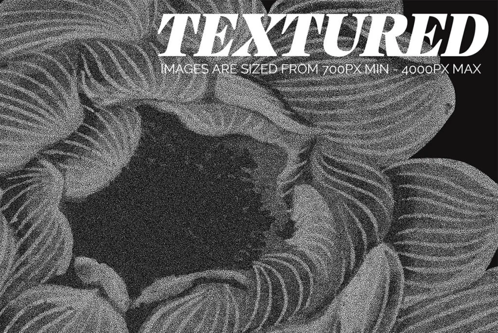 E7673_05.jpg E7673_05.jpg