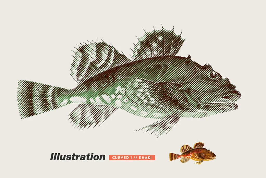 E7679_04.jpg E7679_04.jpg