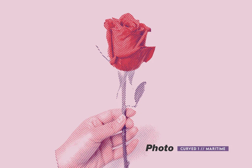 E7679_05.jpg E7679_05.jpg