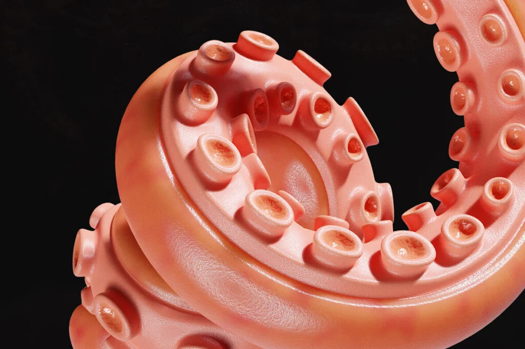 E8576_02.jpg E8576_02.jpg