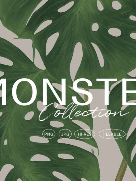 Monstera Tropical Collection Graphics - Image 1