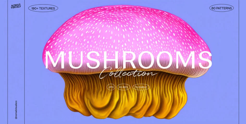 Mushrooms Illustrations Graphics - Image 2