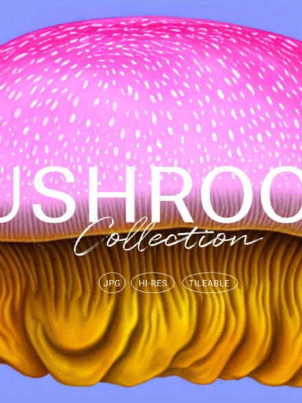 Mushrooms Illustrations Graphics - Image 1