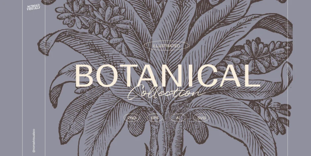 Botanical Collection Graphics - Image 2