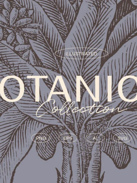 Botanical Collection Graphics - Image 1