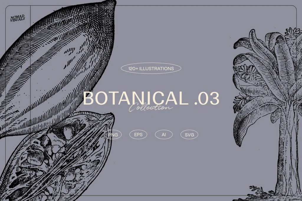 E8646_04.jpg E8646_04.jpg